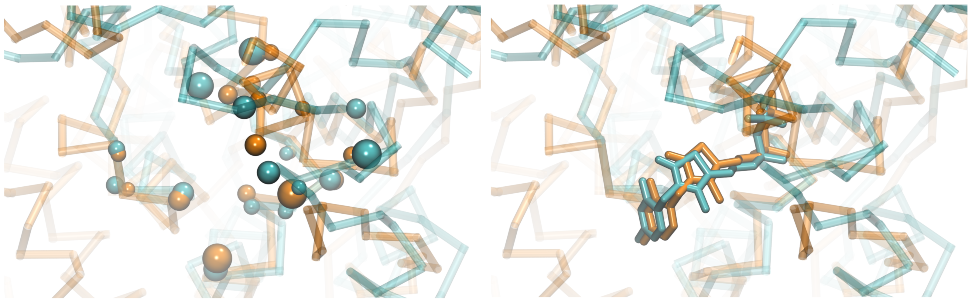 Ligand-binding site alignment