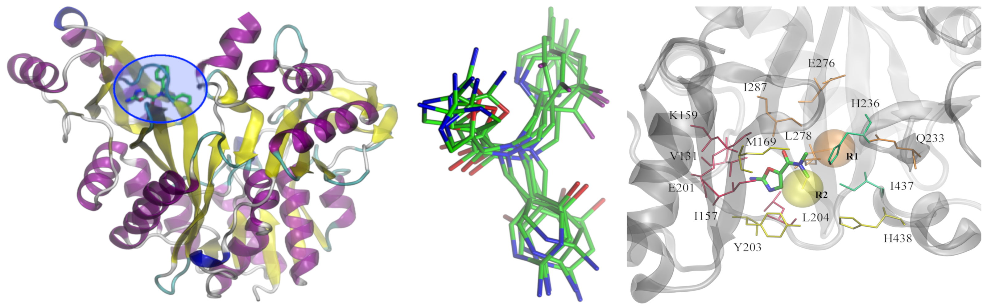 Redesign of biotin carboxylase inhibitors