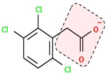 eToxPred