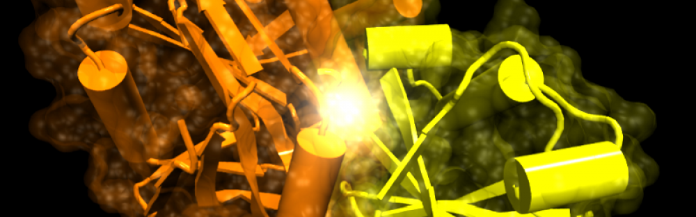 Network Biology