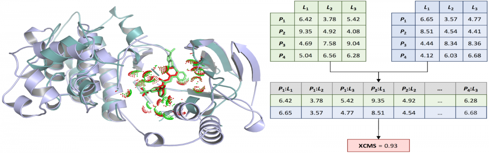 Similarity measures for ligand-binding conformations