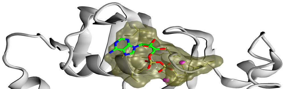 Ligand-binding site prediction