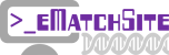 eMatchSite